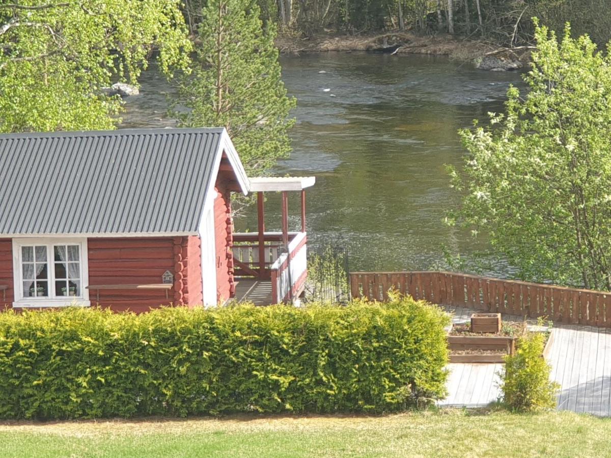 Raustua Apartment