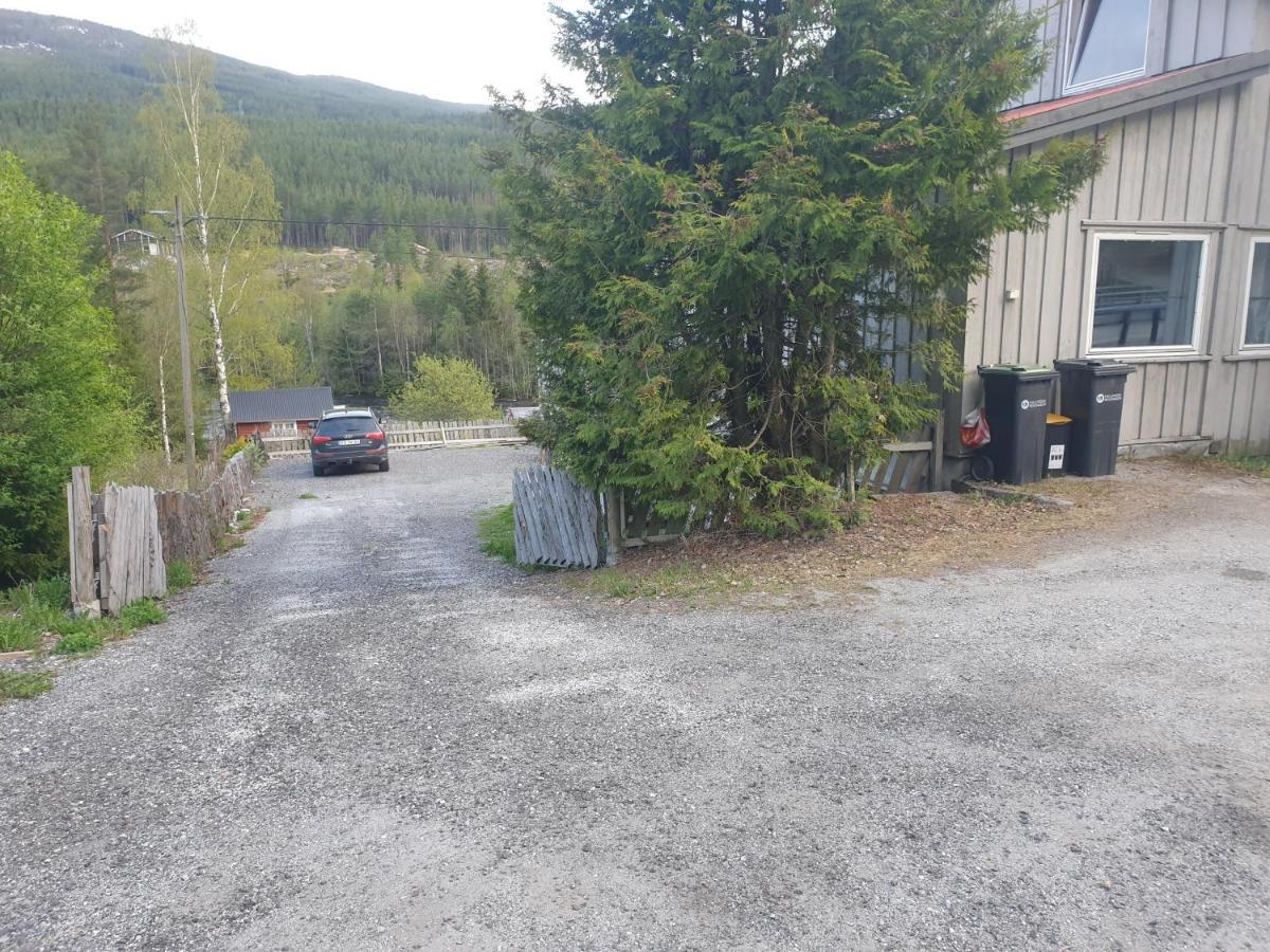 Apartment Raustua *